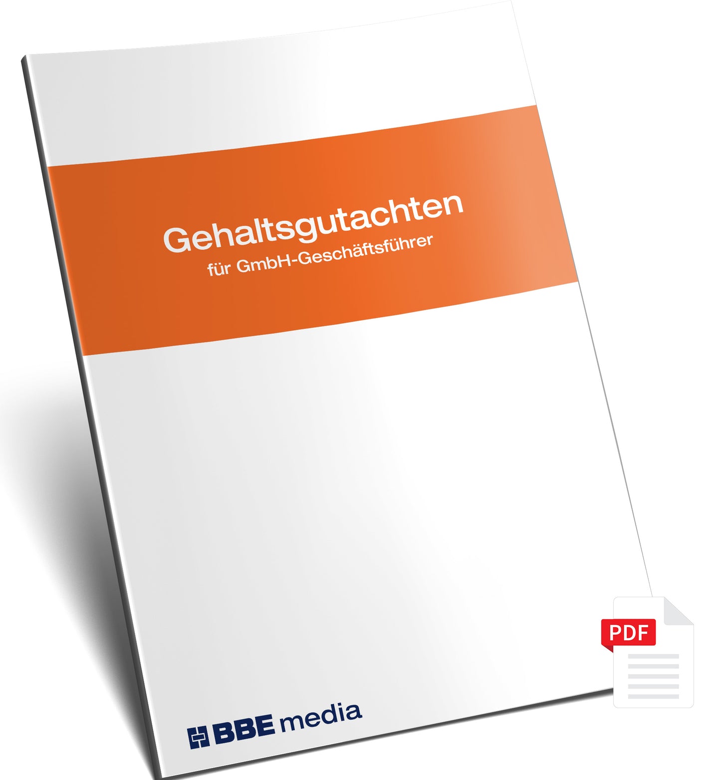 Gehaltsgutachten für GmbH-Geschäftsführer